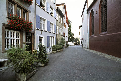 Street plantings in Basel, Switzerland