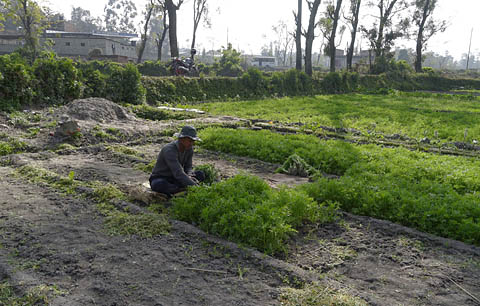 Nepal