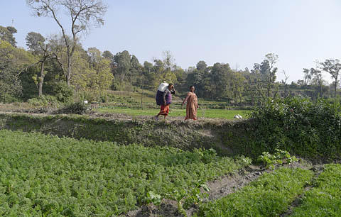 Nepal