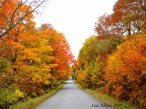 Rural Maine